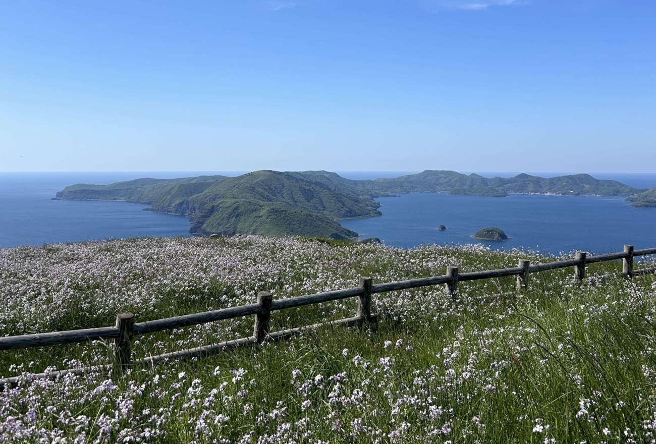Spring on Chiburijima Island 1 night 2 days itinerary